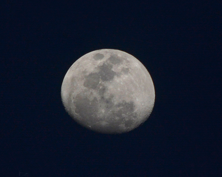 (Foto: Henrique Pinheiro)