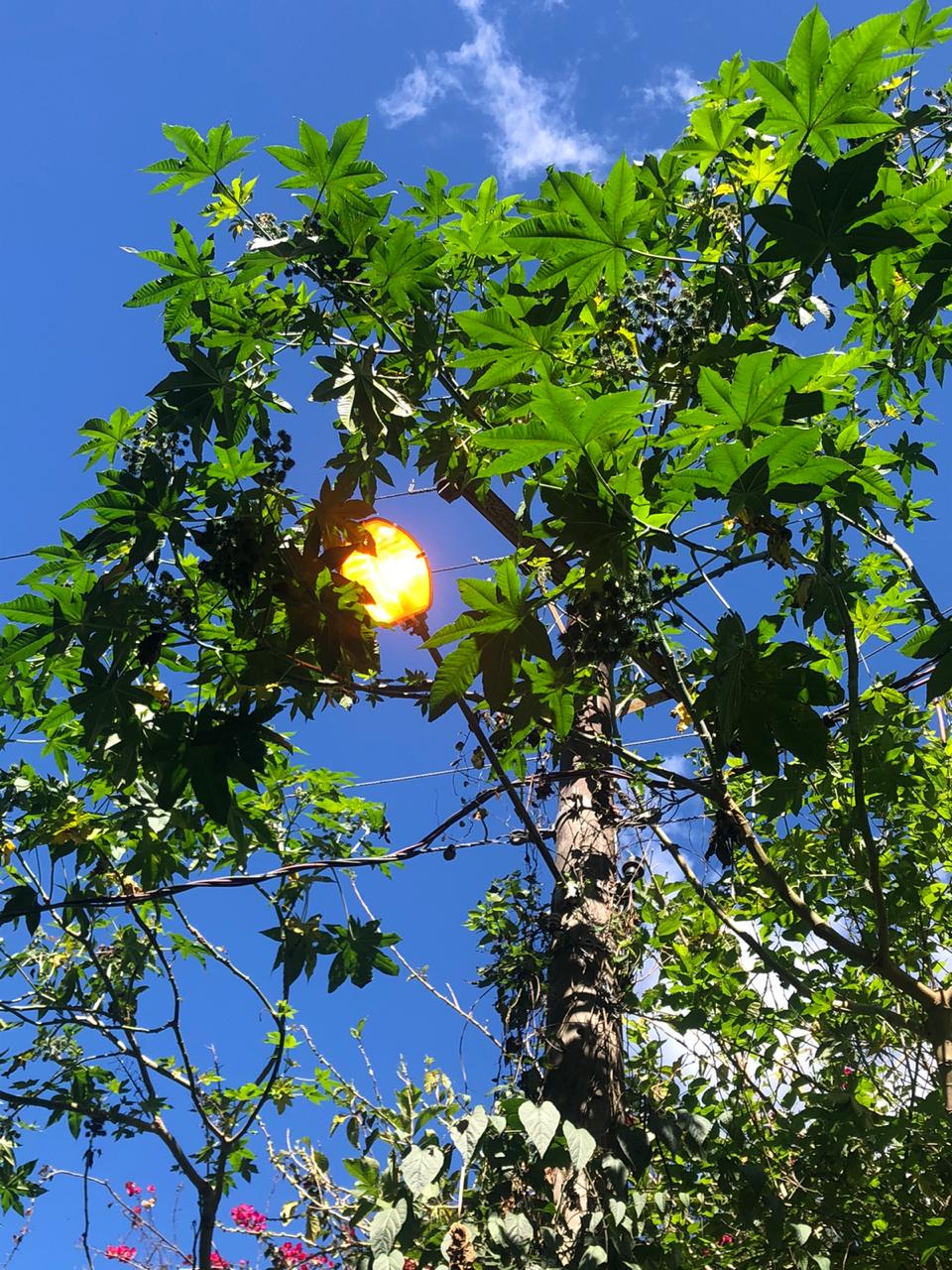 Luz acesa de dia também no Cascatinha (Foto de leitor)