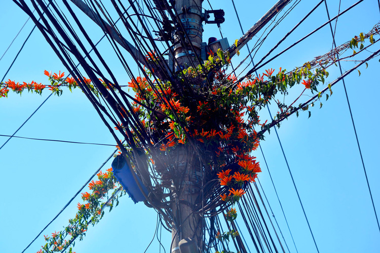 Até flores trepadeiras se misturam no emaranhado de fios e cabos (Foto: Henrique Pinheiro)