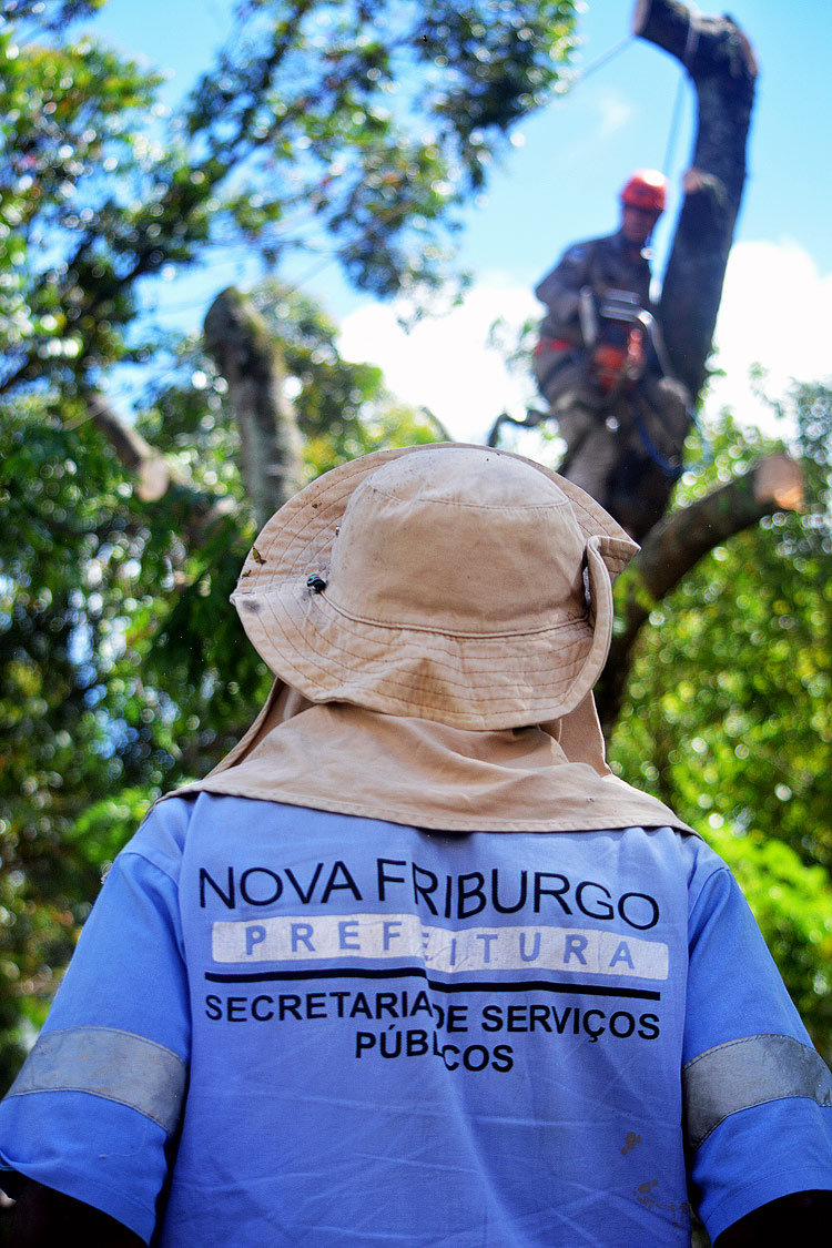 Servidor da prefeitura durante a poda de árvores na Praça (Foto: Henrique Pinheiro)