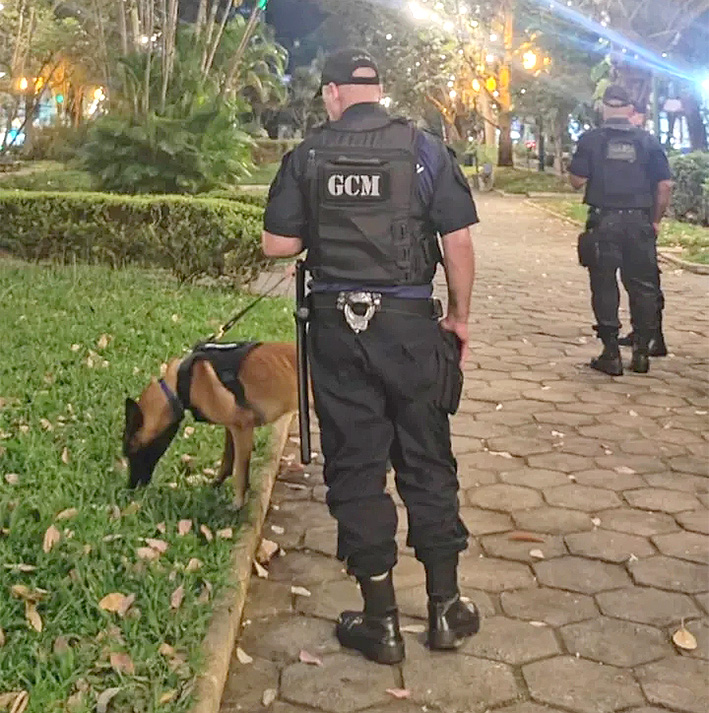 Foto: Divulgação Secom NF