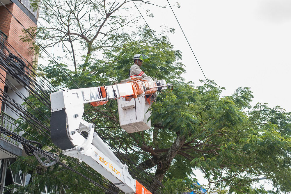 (Fotos: Divulgação/Energisa)