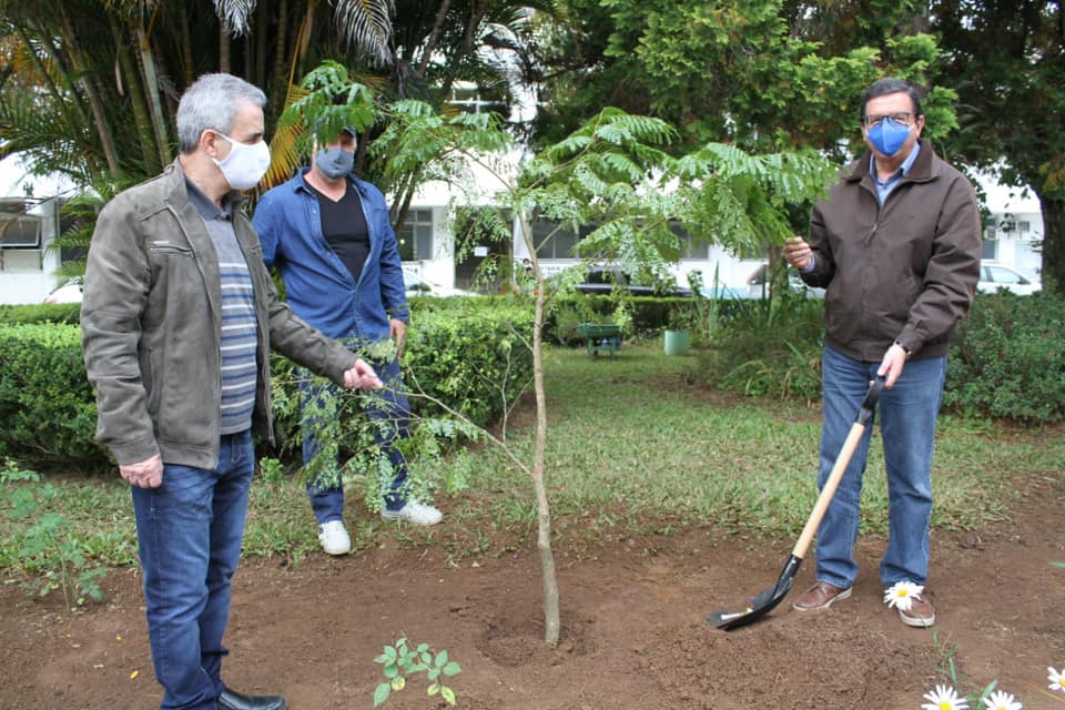 Renato Bravo planta uma muda no Dia Mundial do Meio Ambiente, nesta sexta (Divulgação PMNF)