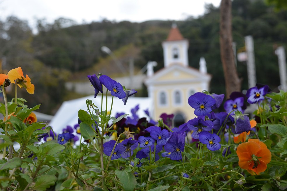 A capela de Santo Antonio (Foto: Henrique Pinheiro)