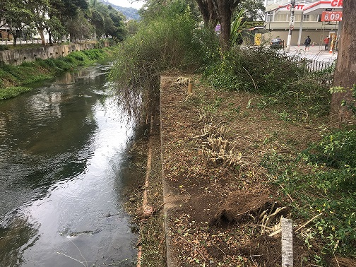 A capina na margem do rio (Foto: Andrea Freze)