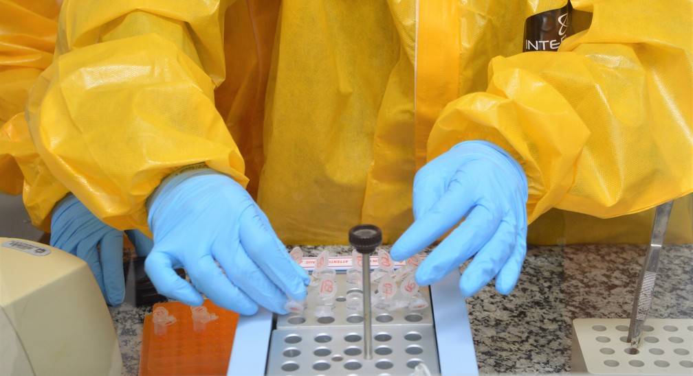 Laboratórios do Ministério da Agricultura vão testar coronavírus