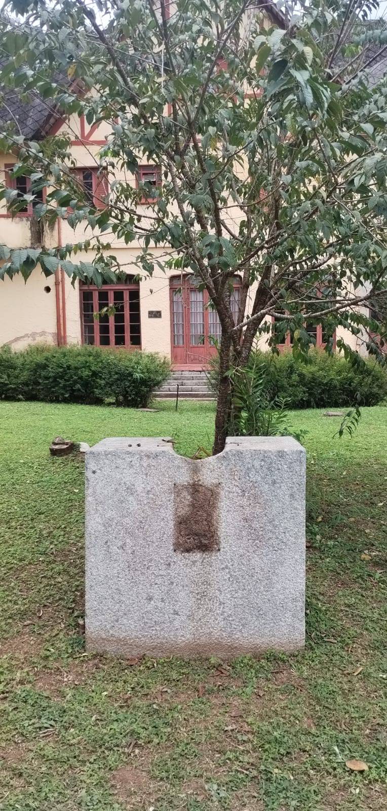 (Foto: Divulgação)
