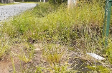 Prefeitura divulga ações de limpeza em Conselheiro Paulino | Jornal A Voz da Serra