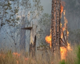 Plano de Inverno da Defesa Civil é apresentado em audiência pública  | A Voz da Serra