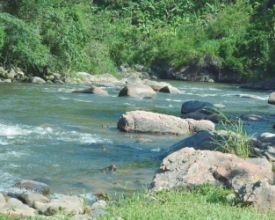Semana do Meio Ambiente. Estado rejeita proposta de hidrelétrica no Rio Macaé | A Voz da Serra