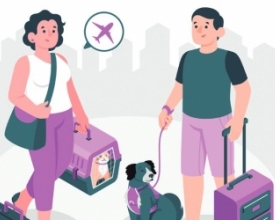 “Lei Joca” prevê novas regras para transporte aéreo de pets | Jornal A Voz da Serra