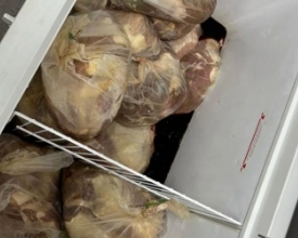 Mais de 100 quilos de carne estragada em freezers da Maternidade | A Voz da Serra