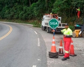 RJ-116: poda de árvores no Km 73 deixa tráfego em pare e siga  | A Voz da Serra