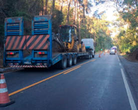 Poda de árvores continua nesta quinta-feira na RJ-116 | Jornal A Voz da Serra