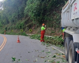 RJ-116 em “pare e siga” na altura de Debossan  | A Voz da Serra