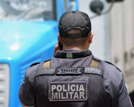 Descoberto o plantio de drogas avaliadas em mais de R$ 50 mil | A Voz da Serra