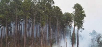 Defesa Civil alerta para risco “muito alto” de queimadas | A Voz da Serra