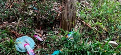 Denúncia: lixo no Parque Municipal Juarez Frotté | A Voz da Serra