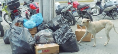 Descarte irregular de lixo: um problema recorrente em Friburgo | A Voz da Serra