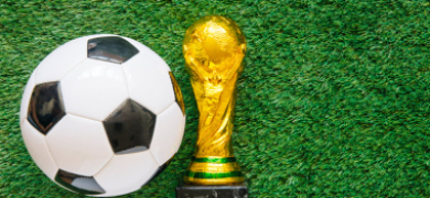 Lançado guia para brasileiros que irão à Copa | Jornal A Voz da Serra